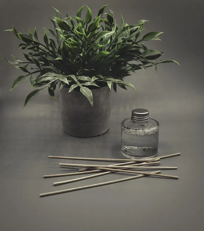15 vetiver diffuser blends that will transform your home