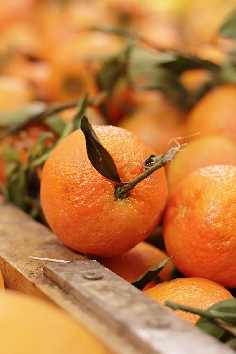 how to blend vetiver oil with citrus oils for an uplifting